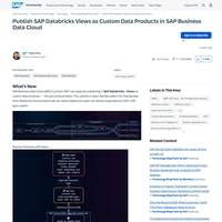 Screenshot: Publish SAP Databricks Views as Custom Data Products in SAP Business Data Cloud