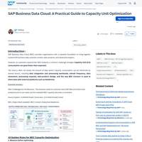 Screenshot: SAP Business Data Cloud: A Practical Guide to Capacity Unit Optimization