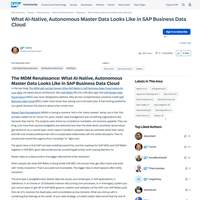 Screenshot: What AI-Native, Autonomous Master Data Looks Like in SAP Business Data Cloud